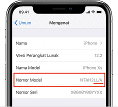 Tips mengecek kode negara iPhone.