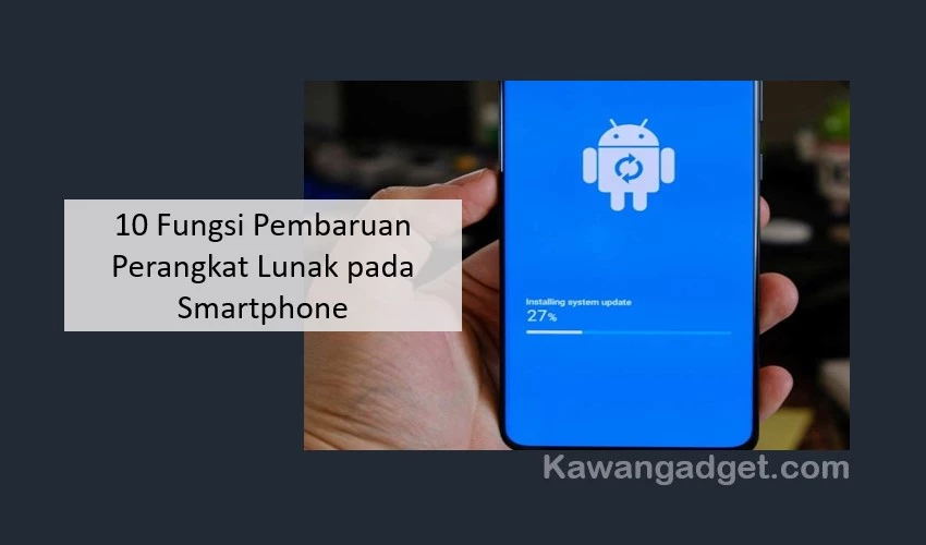 Fungsi Pembaruan Perangkat Lunak