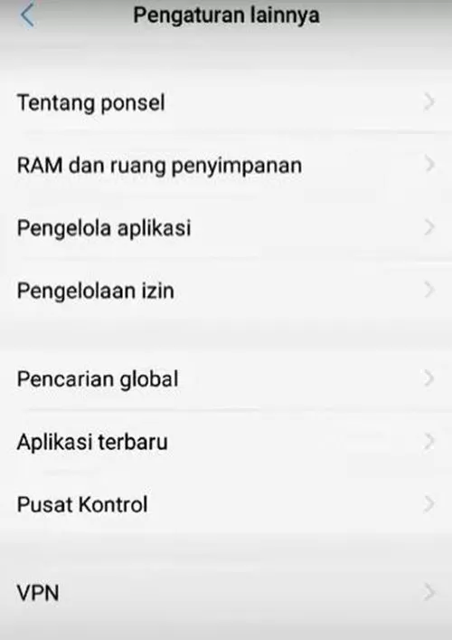 opsi pengembang vivo