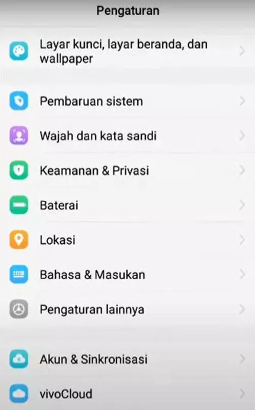 opsi pengembang vivo