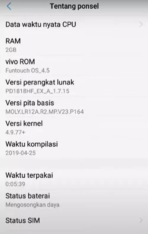 opsi pengembang vivo