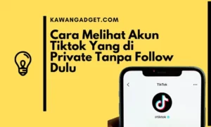 Cara Melihat Akun Tiktok Yang di Private Tanpa Follow Dulu