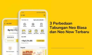 3 Perbedaan Tabungan Neo Biasa dan Neo Now Terbaru