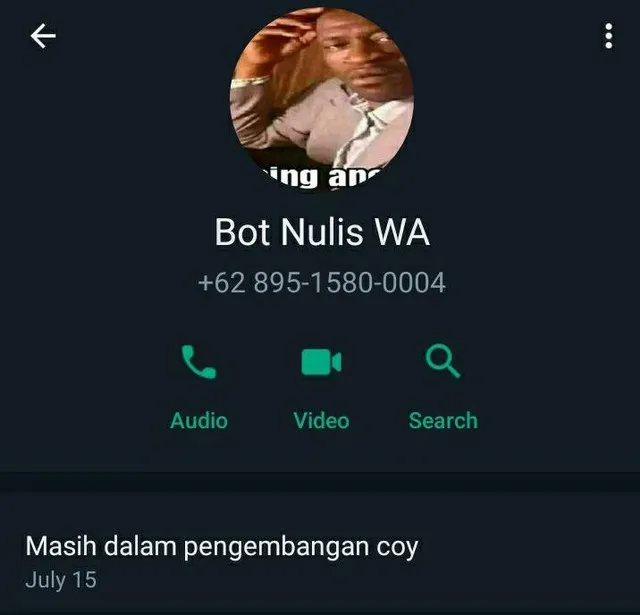 bot nulis wa