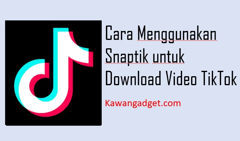 snaptik tiktok video download