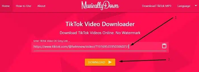 download video tiktok