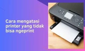 cara mengatasi printer yang tidak bisa ngeprint