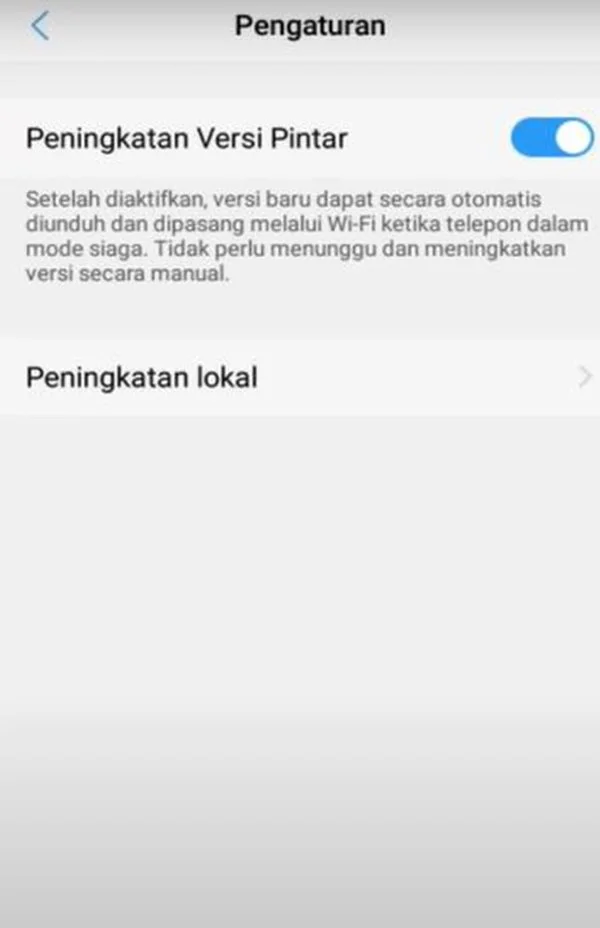 Cara Update HP Vivo Tanpa Aplikasi dan PC