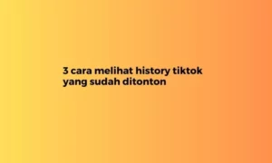 cara melihat history tiktok