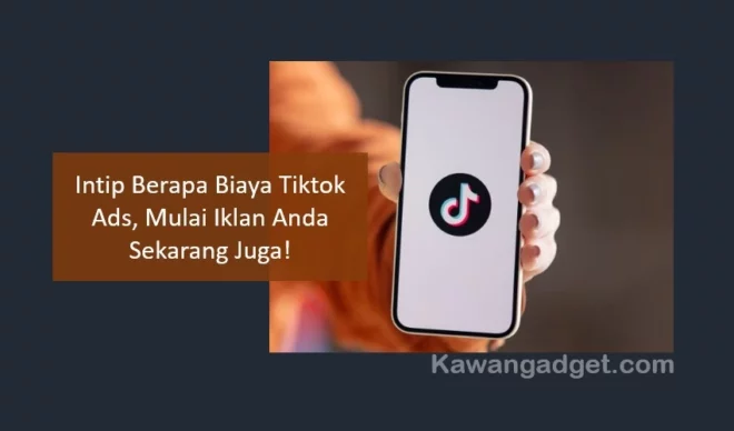 Berapa Biaya Tiktok Ads