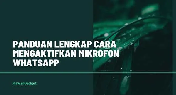 Panduan Lengkap cara mengaktifkan mikrofon whatsapp