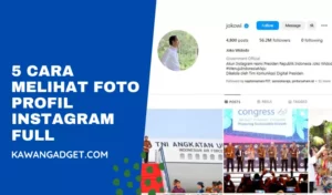 Cara Melihat Foto Profil Instagram Full