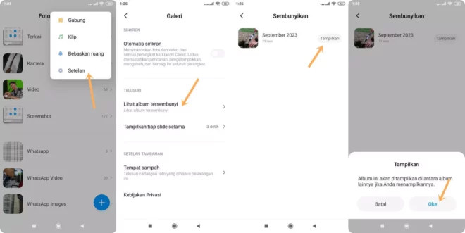 Cara Melihat Foto Yang Di Private di Galeri Langsung