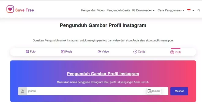 Cara Melihat PP IG Full Tanpa Aplikasi Melalui Web Save Free