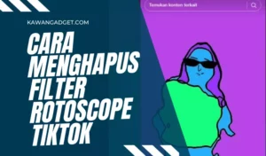 Cara Menghapus Filter Rotoscope Tiktok