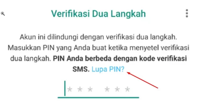 Lupa Pin Verifikasi 2 Langkah WA